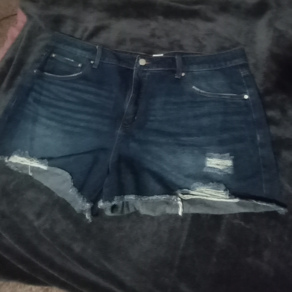 Time and Tru Size 20 Denim Shorts